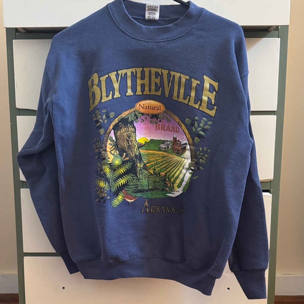 Fruit of the Loom Blue Graphic Crewneck Sweater